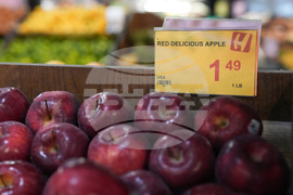 Iran Food Prices