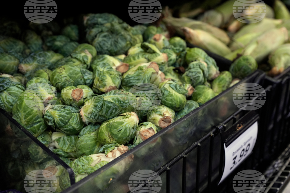 Iran Food Prices