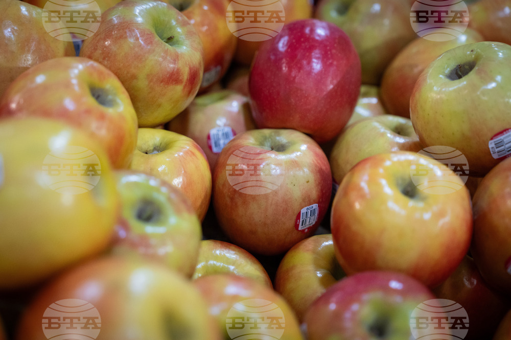 Iran Food Prices