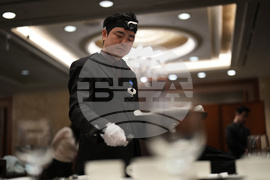 South Korea AI Robots