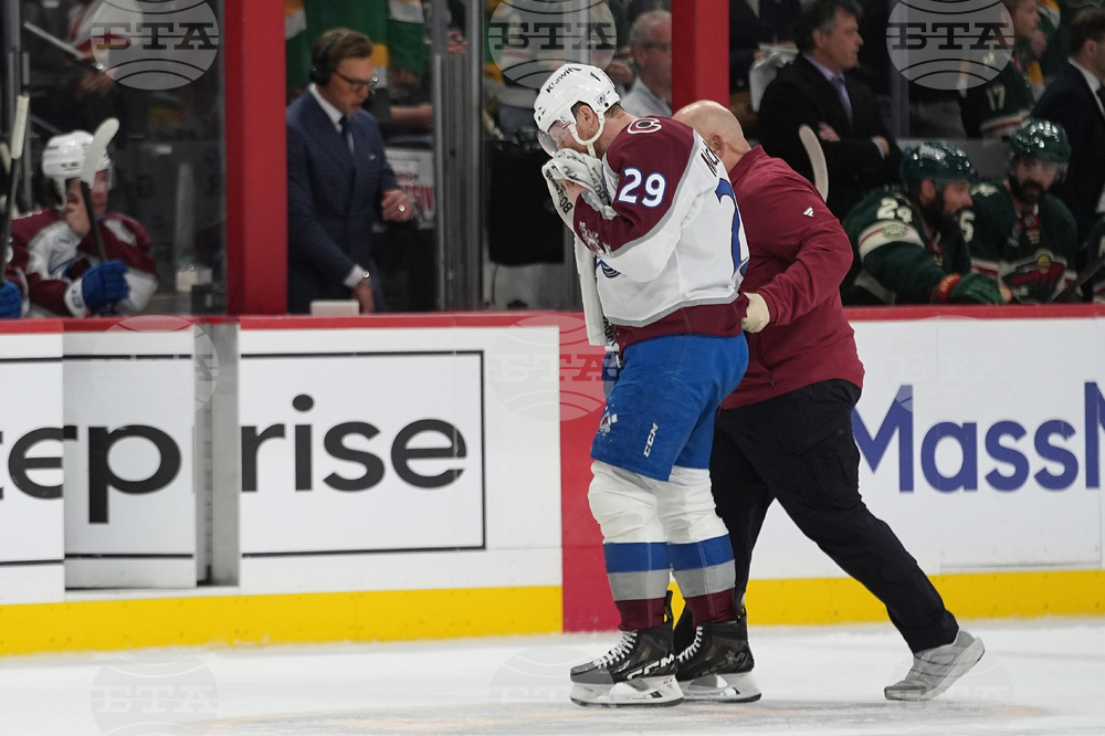Avalanche Wild Hockey