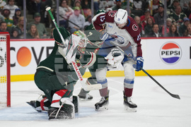 Avalanche Wild Hockey