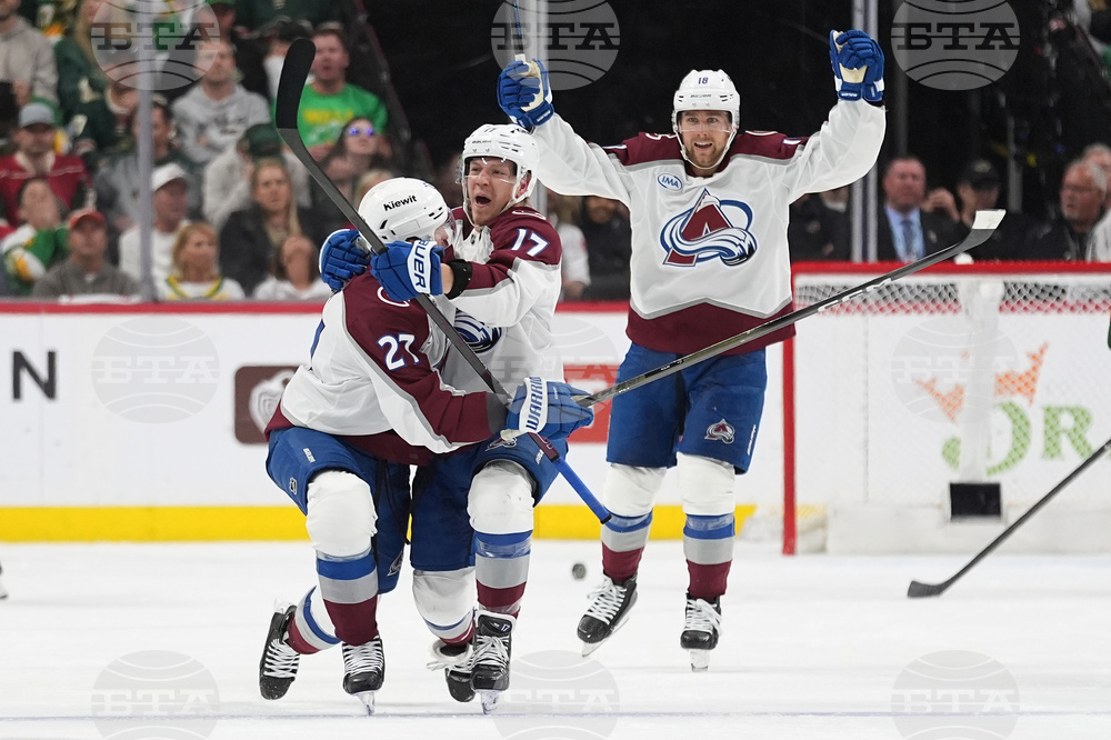 Avalanche Wild Hockey