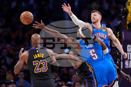 Thunder Lakers Basketball