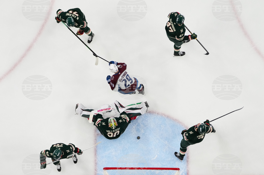 Avalanche Wild Hockey