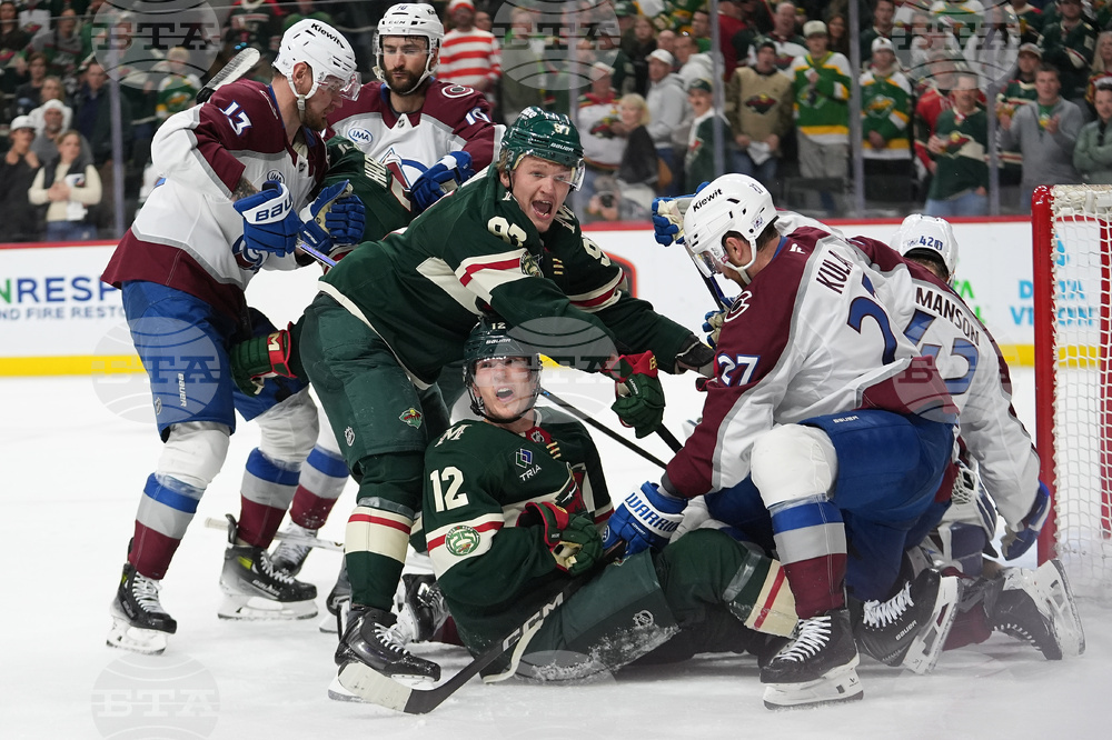 Avalanche Wild Hockey