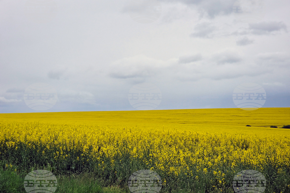 Прогноза за времето