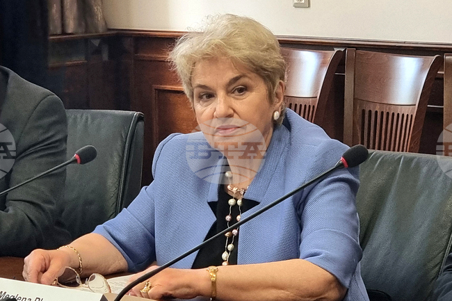 President's Foreign Policy Secretary Plugtschieva: Black Sea Should Not Remain on Periphery of European Politics