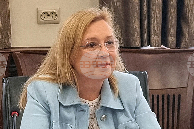 Трябва да се работи за финансовото обезпечаване на развитието на Черноморския регион, смята Зорница Русинова