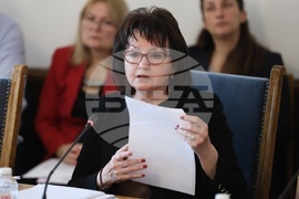 Народно събрание - Временна комисия по правни въпроси - заседание - Янка Тянкова