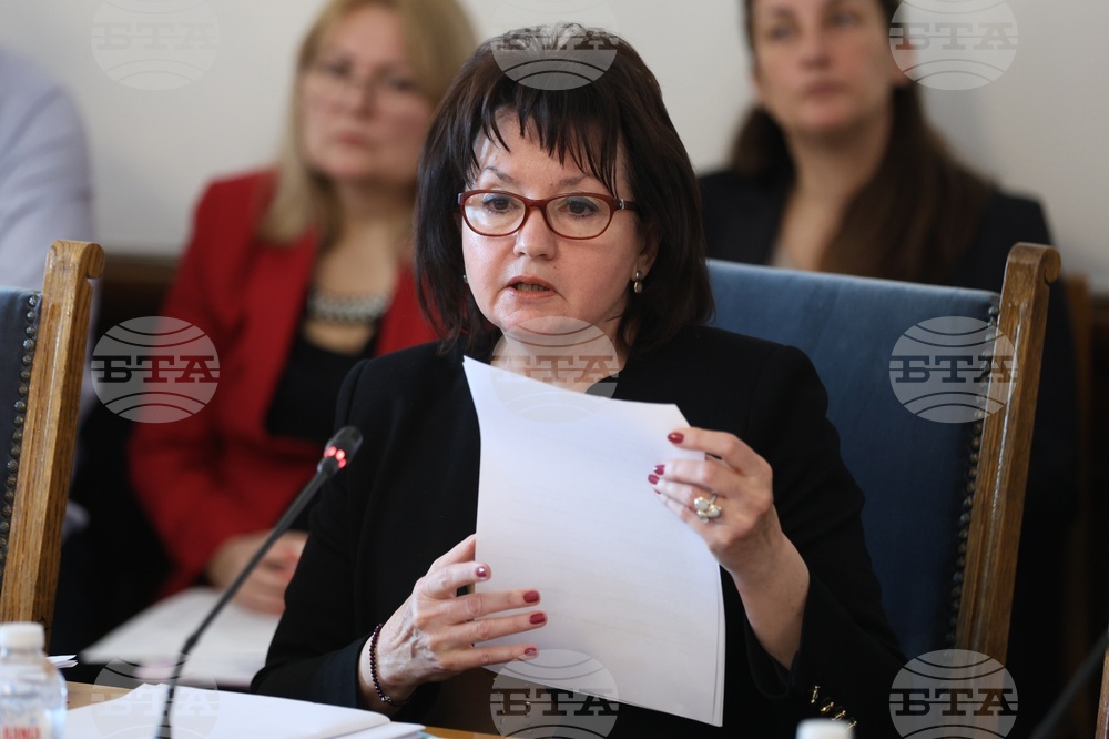 Народно събрание - Временна комисия по правни въпроси - заседание - Янка Тянкова