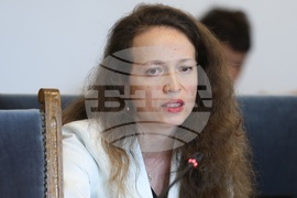 Народно събрание - Временна комисия по правни въпроси - заседание - Олга Борисова