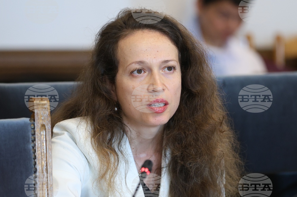 Народно събрание - Временна комисия по правни въпроси - заседание - Олга Борисова