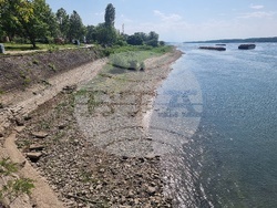 Лом - река Дунав - ниво
