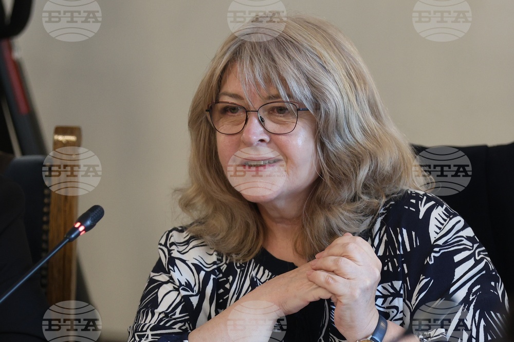 Народно събрание - Временна комисия по правни въпроси - заседание - Мими Фурнаджиева