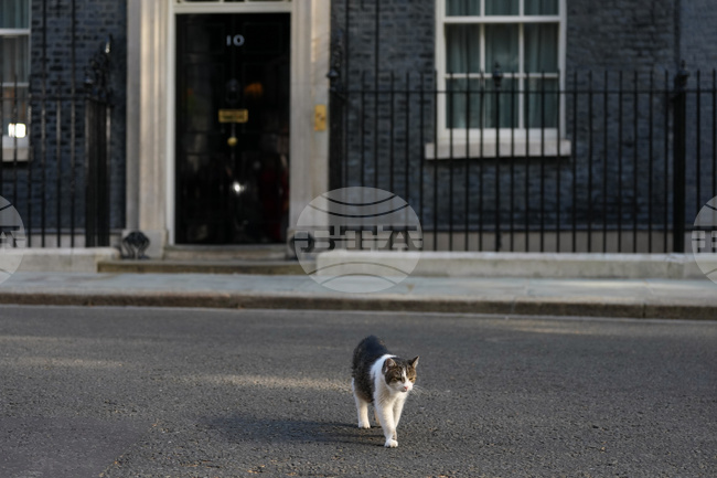APTOPIX Britain Politics