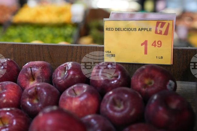 Producer Prices