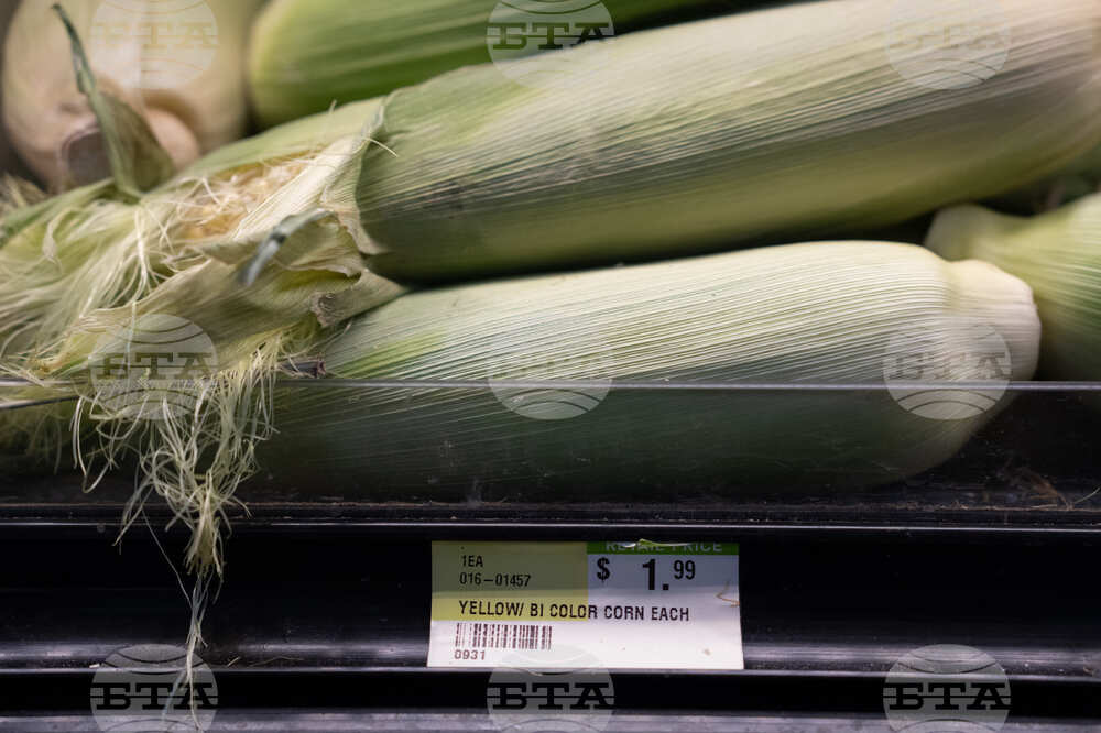 Producer Prices