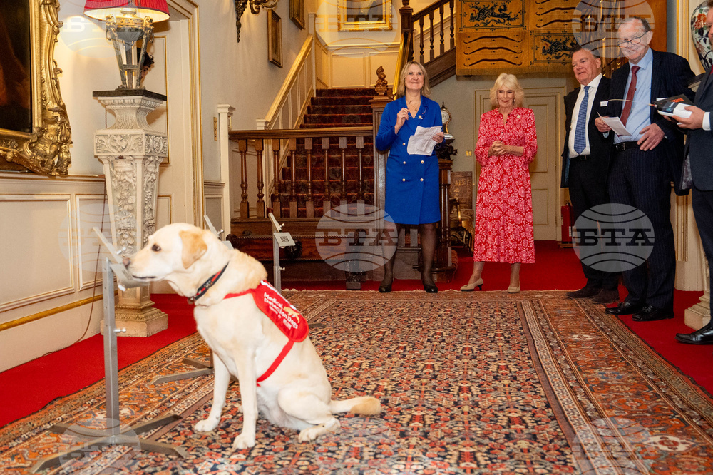 Britain Royals