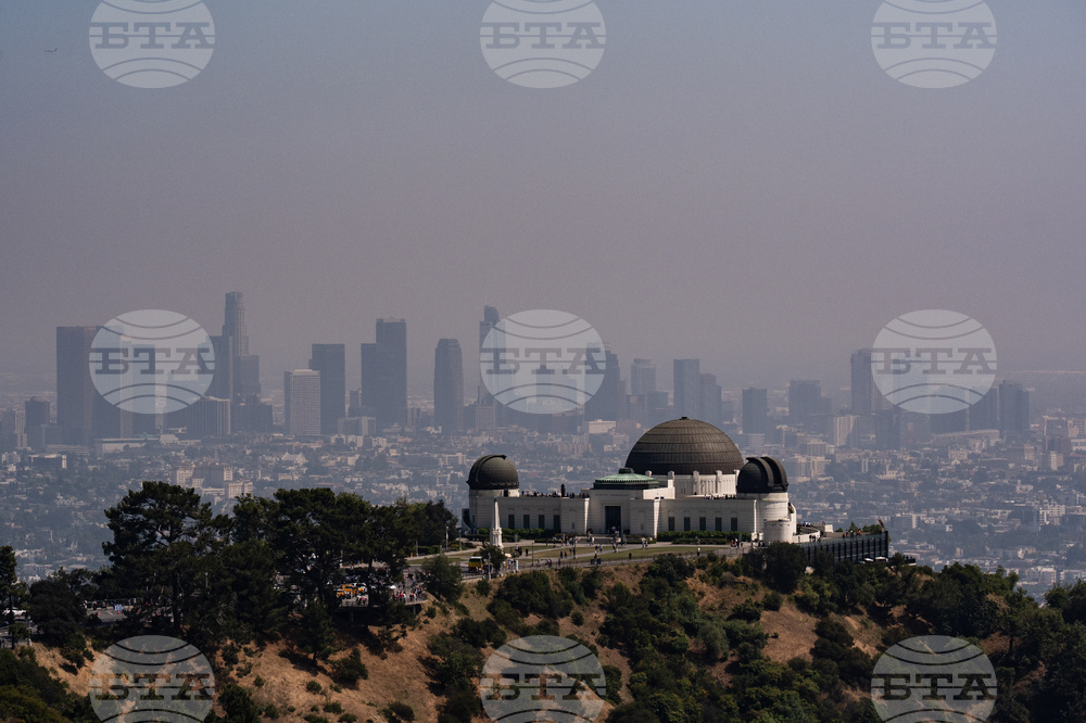 WCup Los Angeles Things to Know