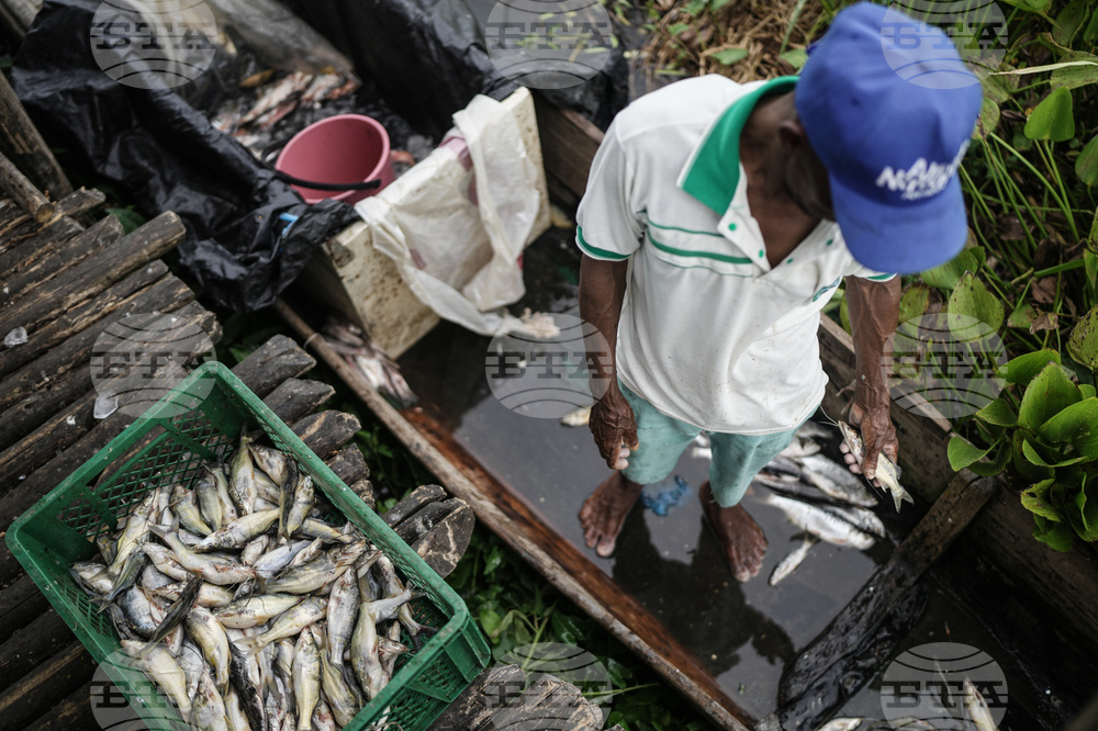 APTOPIX Climate Colombia Invasive Plants