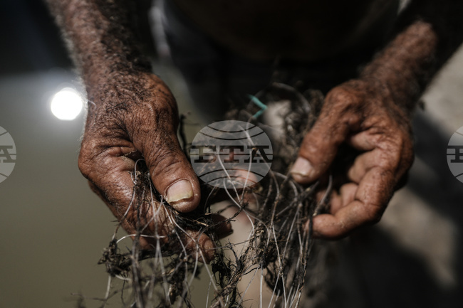 Climate Colombia Invasive Plants
