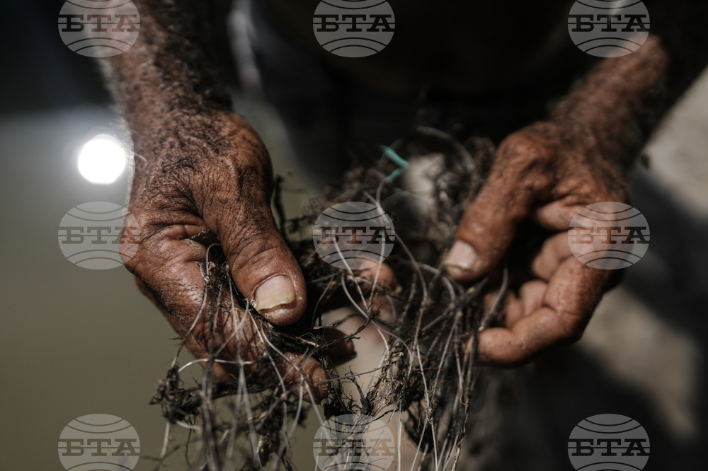 Climate Colombia Invasive Plants