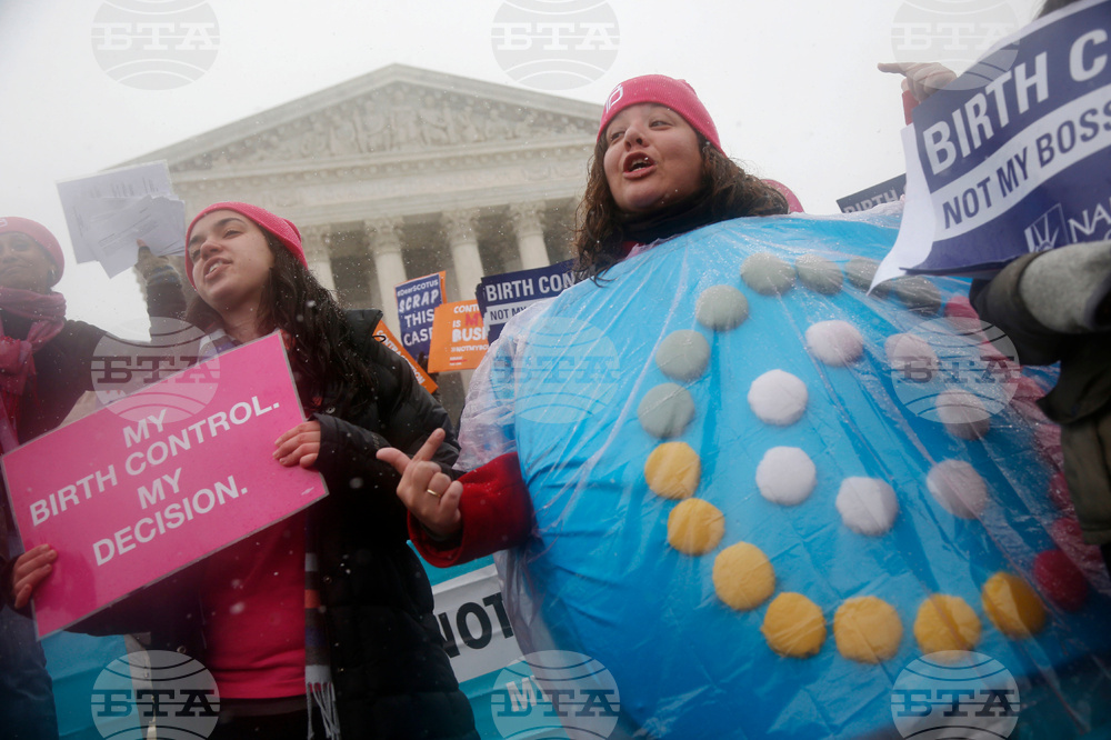 American Objects The Pill