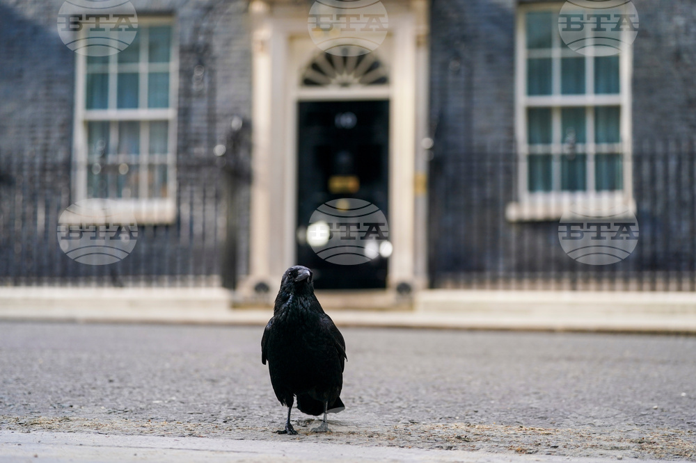 Britain Politics
