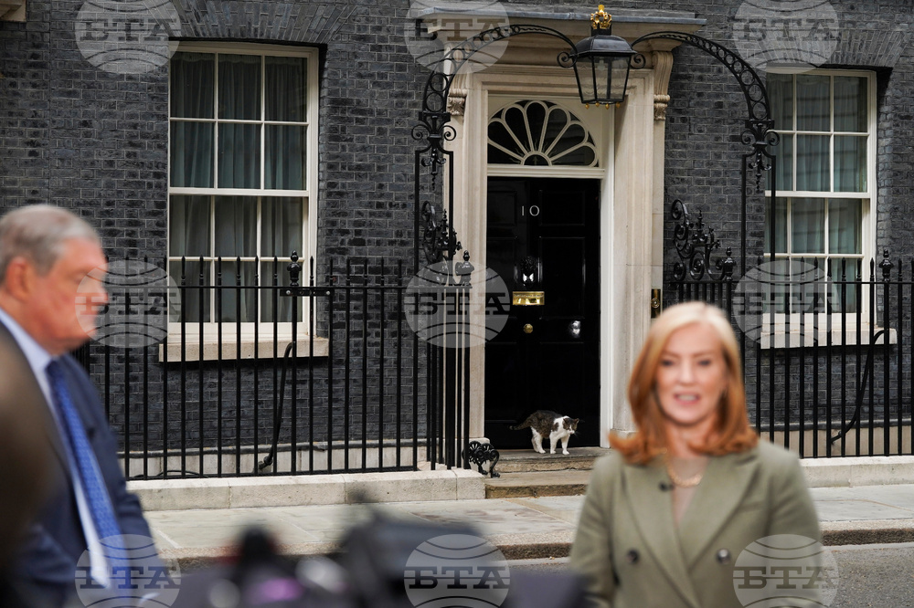 Britain Politics