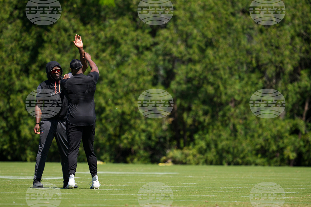 Bengals Football