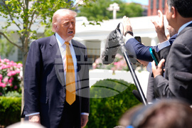 China Trump