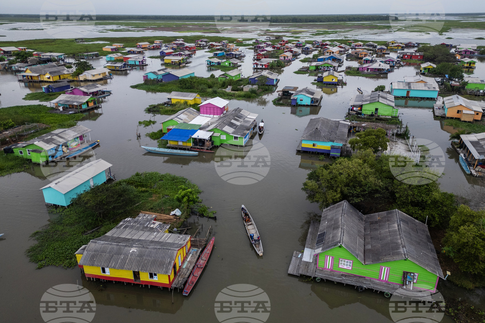 Climate Colombia Invasive Plants