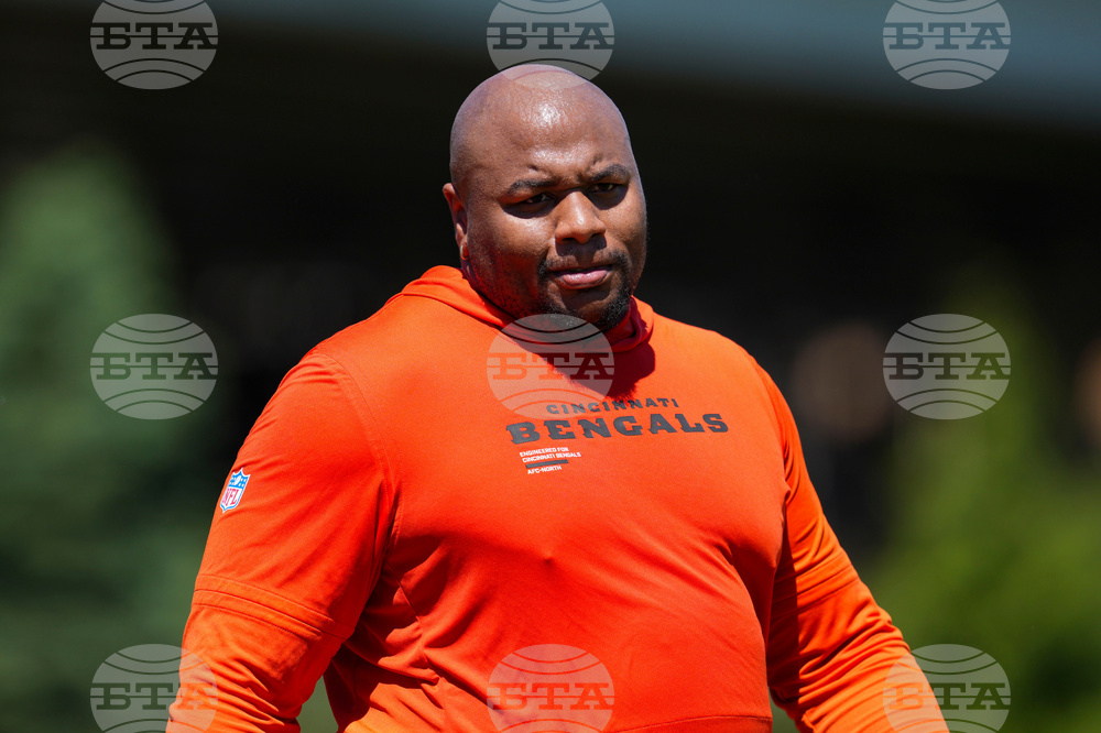 Bengals Football