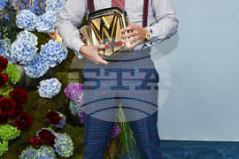 2026 Disney Network Upfront Red Carpet