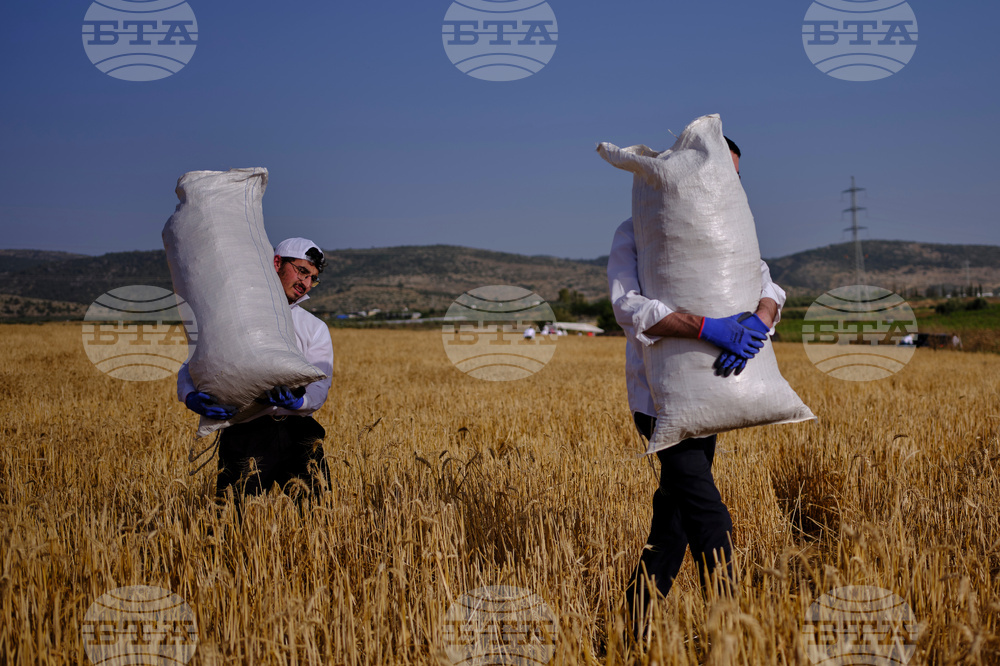 Mideast Israel Wheat