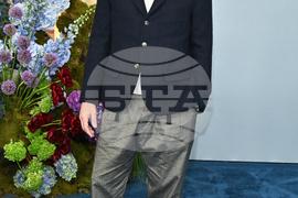 2026 Disney Network Upfront Red Carpet
