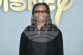 2026 Disney Network Upfront Red Carpet