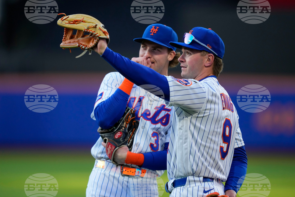 Tigers Mets Baseball