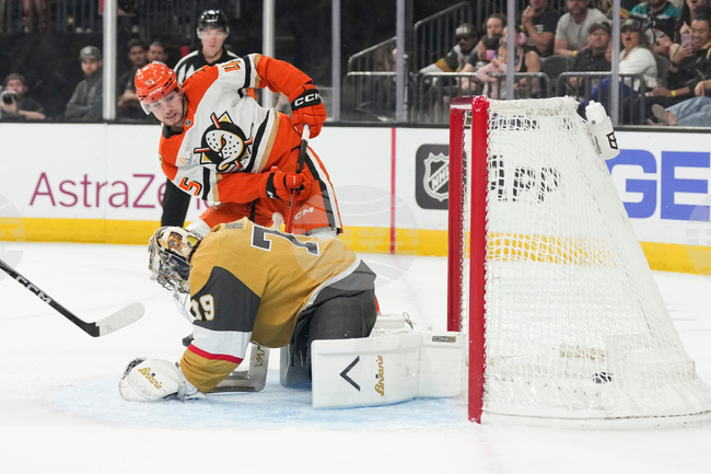 Ducks Golden Knights Hockey