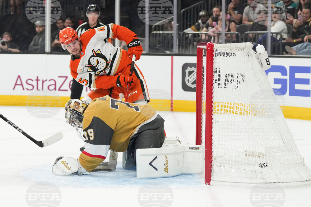Ducks Golden Knights Hockey