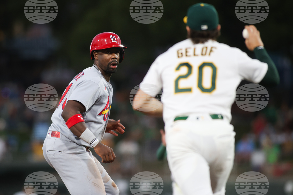 Cardinals Athletics Baseball