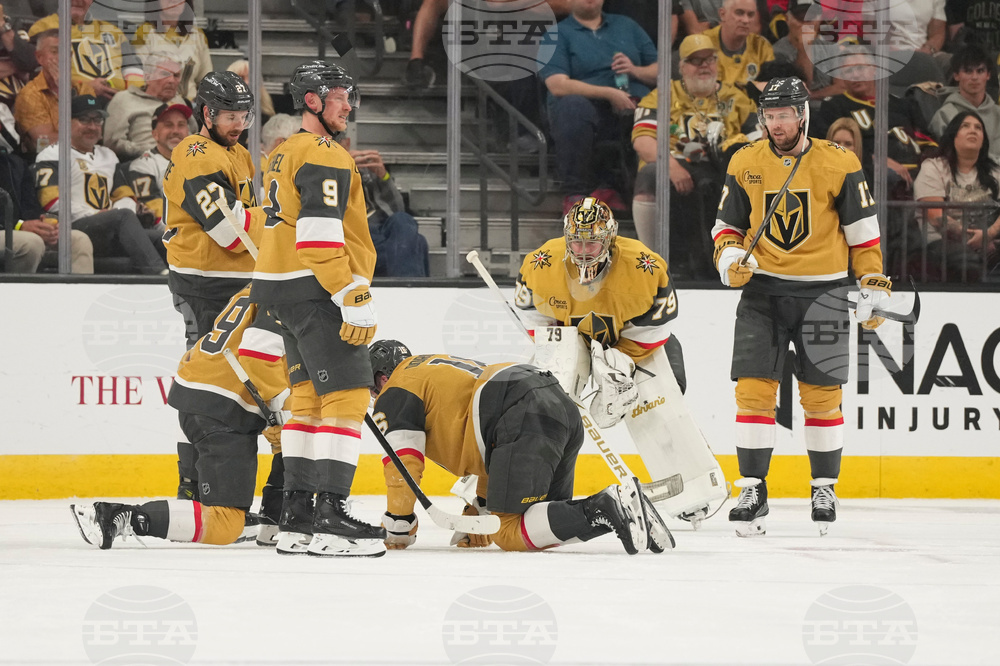 Ducks Golden Knights Hockey