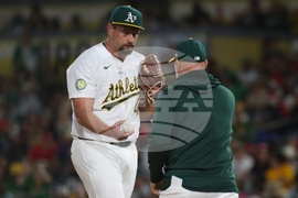 Cardinals Athletics Baseball