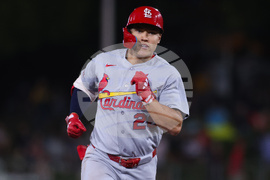 Cardinals Athletics Baseball