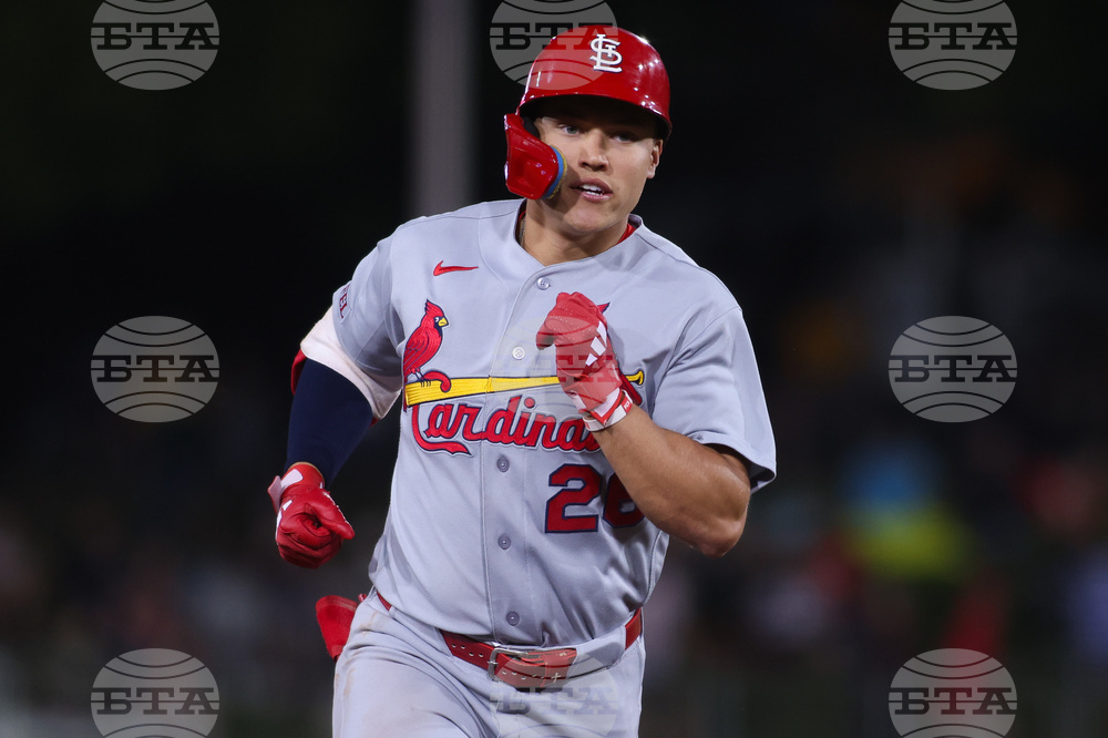 Cardinals Athletics Baseball