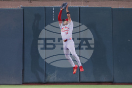 Cardinals Athletics Baseball