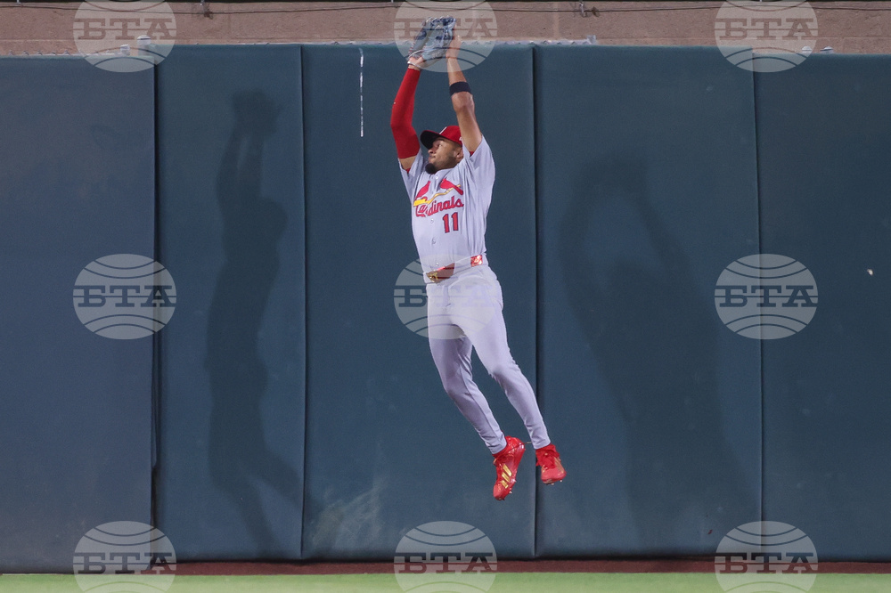 Cardinals Athletics Baseball