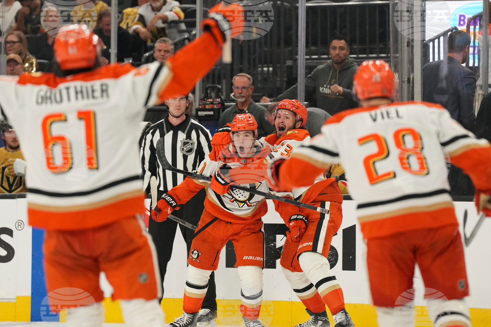 Ducks Golden Knights Hockey