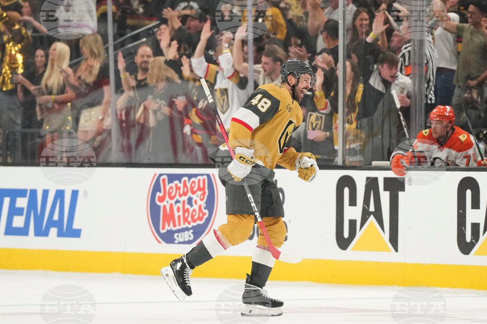 Ducks Golden Knights Hockey